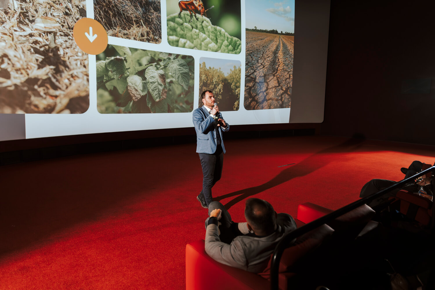 Galeria – zdjęcie 9